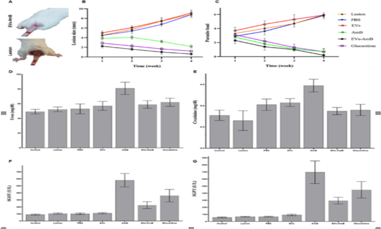 Fig. 4: