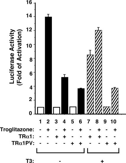 FIG. 7.