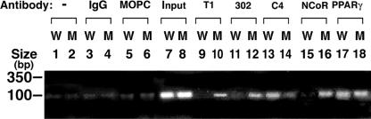 FIG. 10.