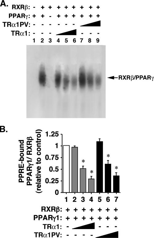 FIG. 9.