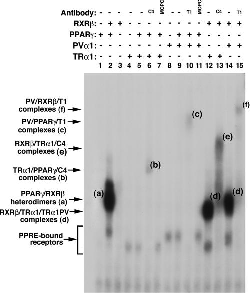 FIG. 8.