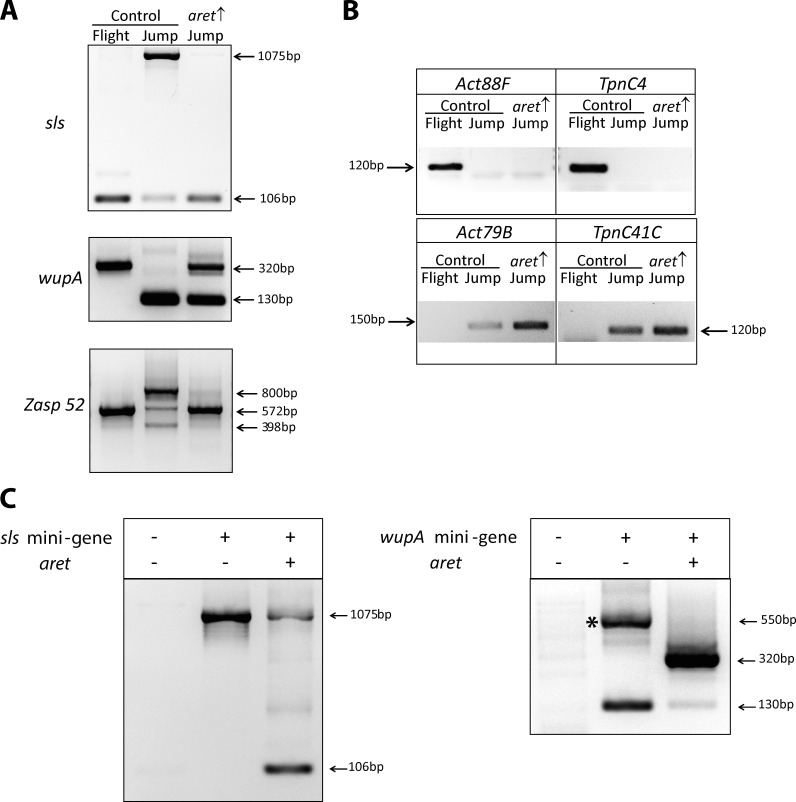 Figure 4.