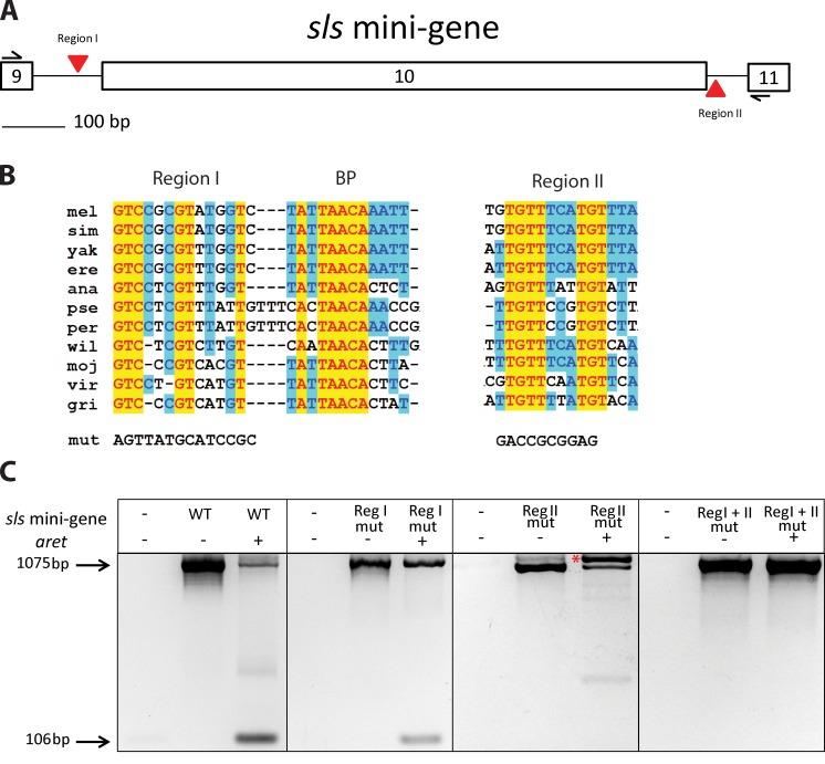 Figure 5.