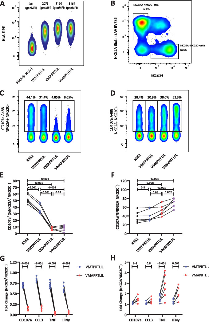 FIG 3