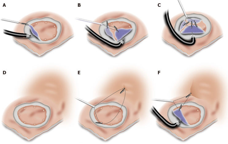 Figure 8