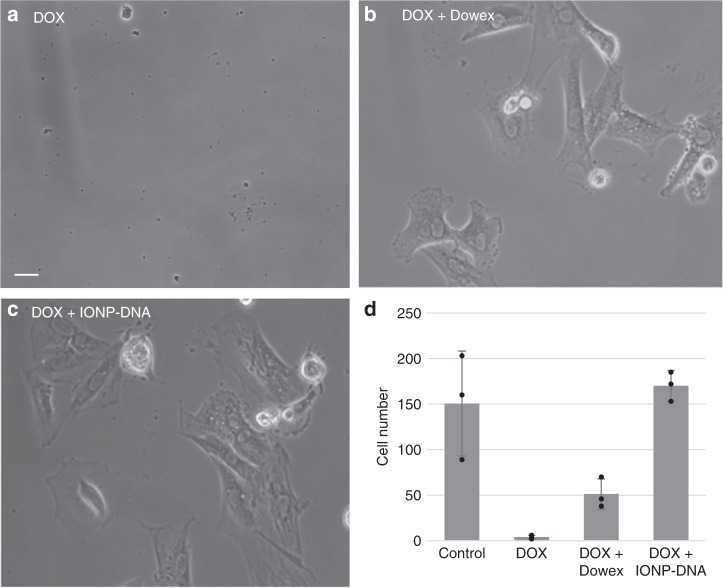 Fig. 4