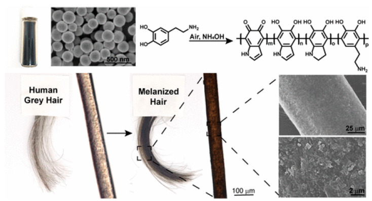 Figure 20