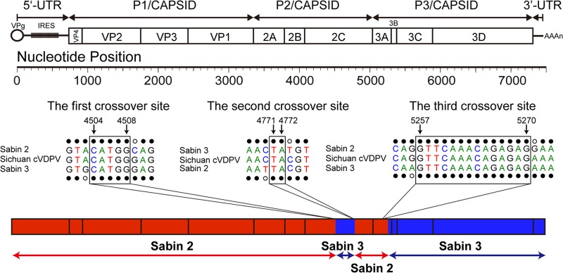 FIG 2