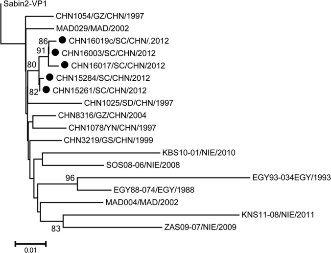 FIG 1