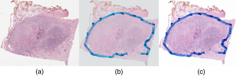 Fig. 5