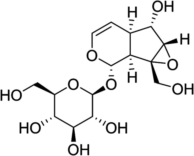 FIGURE 1