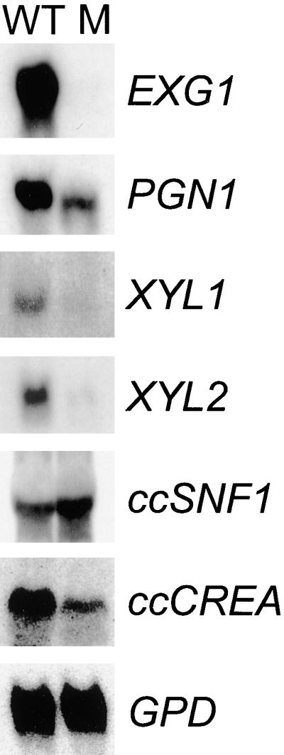 Figure 11.