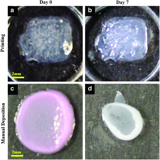 FIG. 6.