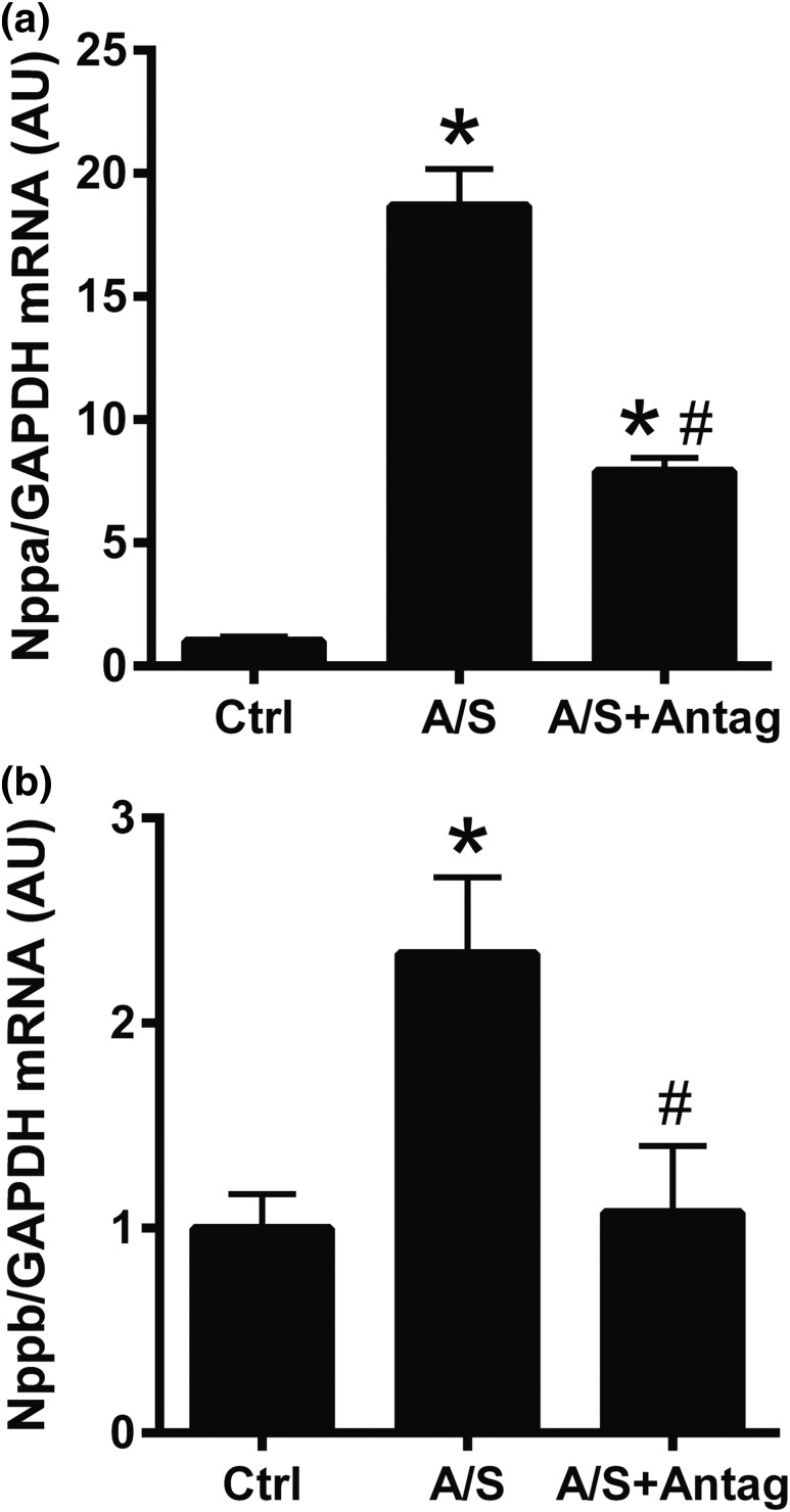 Figure 9.