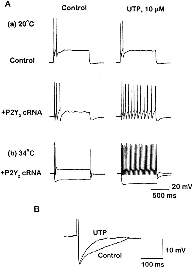 Fig. 8.