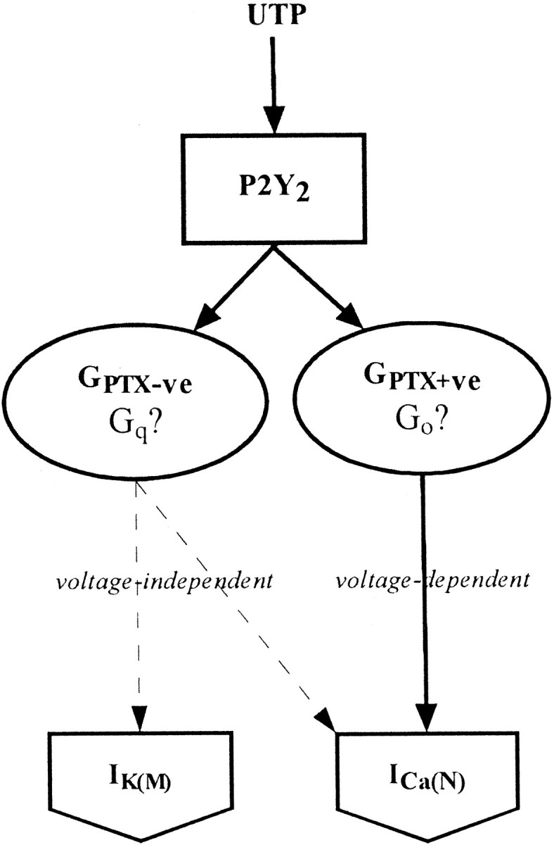 Fig. 9.