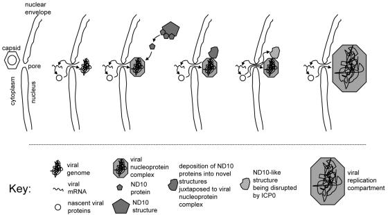 FIG. 8.