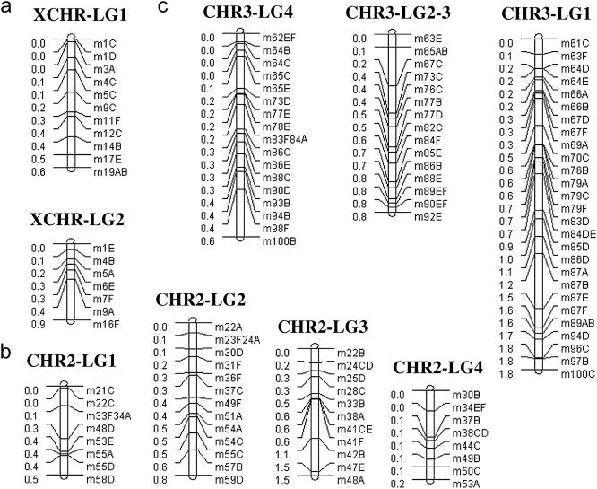 Figure 1.—