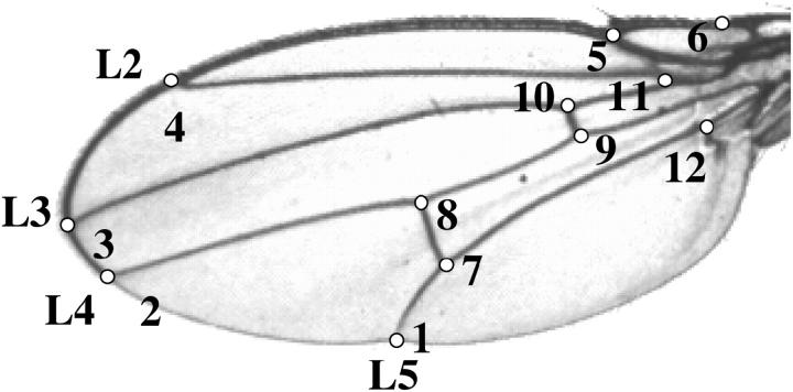 Figure 2.—