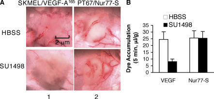 Figure 9.