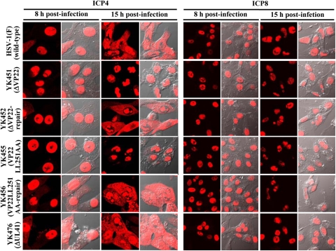 Fig 10