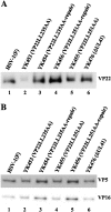 Fig 9
