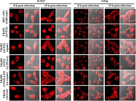 Fig 11