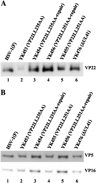 Fig 9