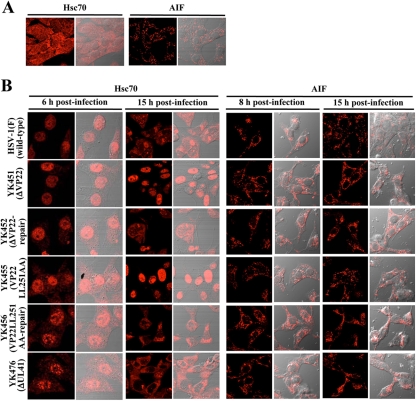 Fig 13