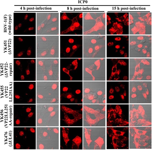 Fig 12