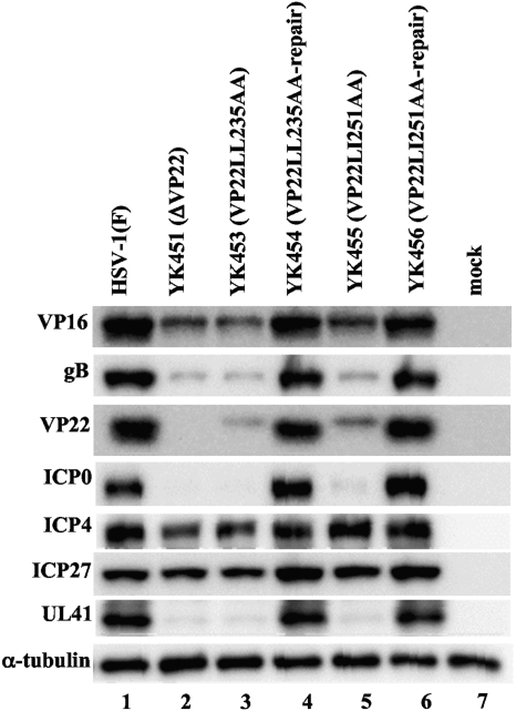 Fig 8