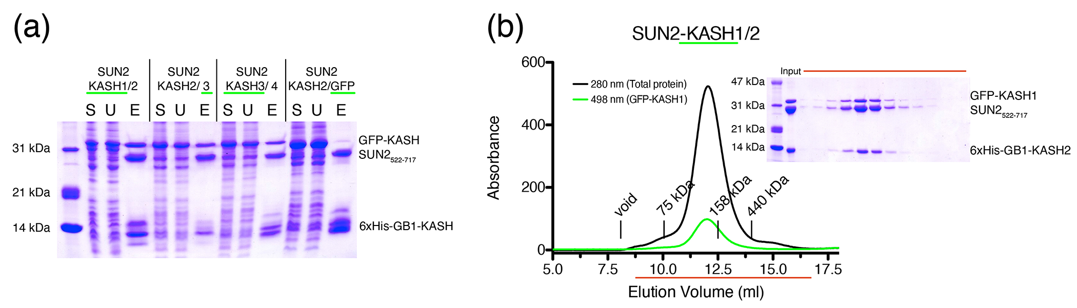 Fig. 8.