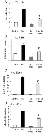 Figure 6.