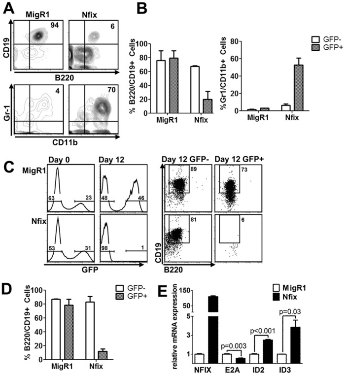 Fig 4