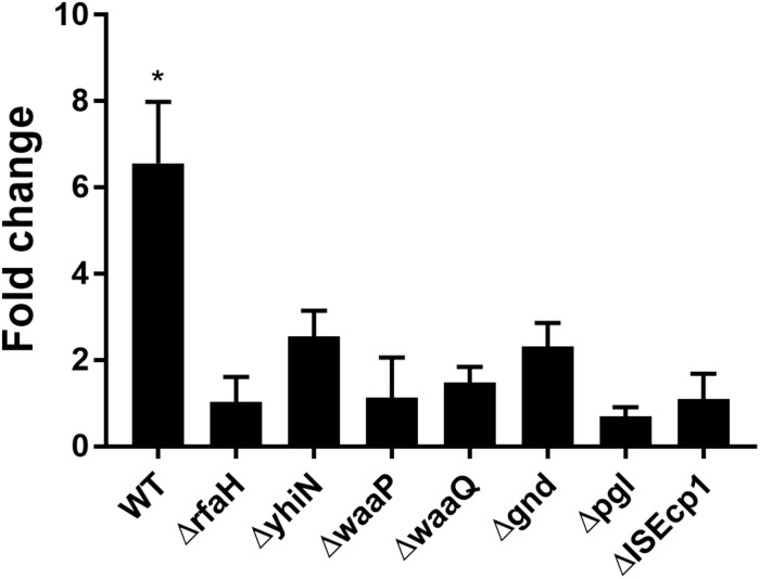 FIGURE 4