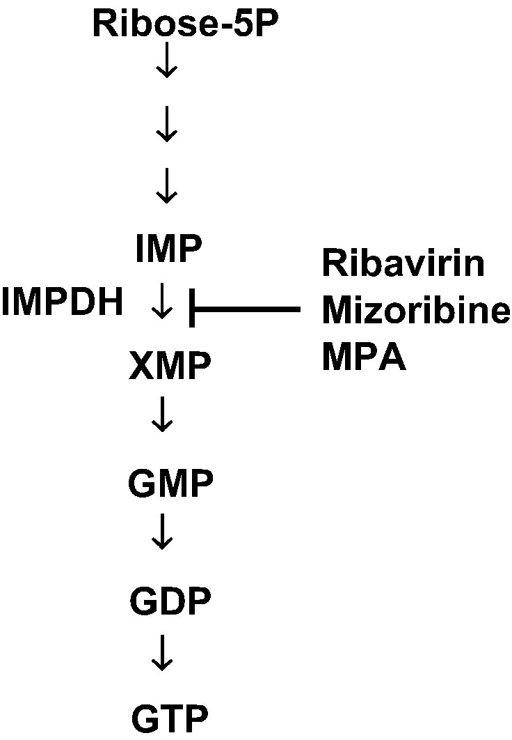 Fig. 5