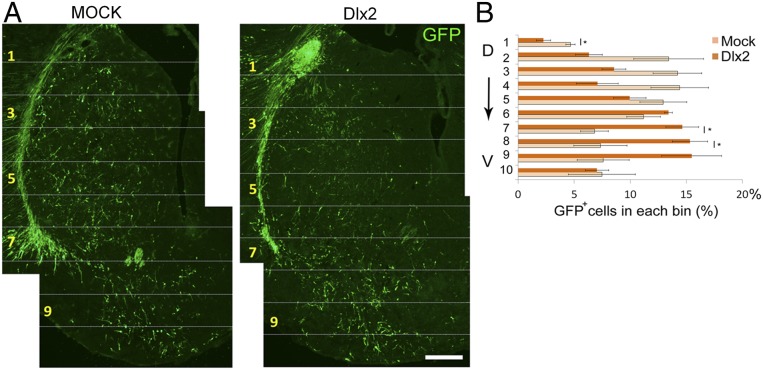 Fig. 7.