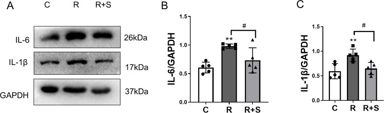 Figure 5