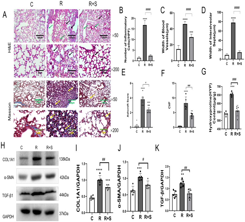 Figure 6