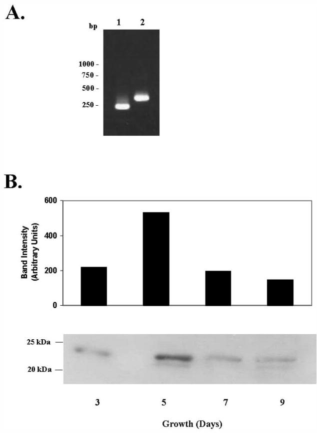 FIGURE 2