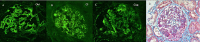 FIGURE 1: