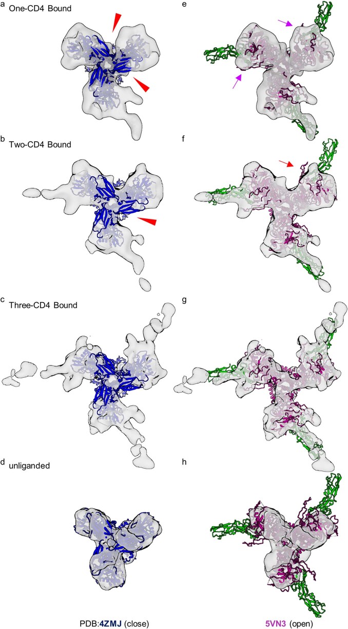 Extended Data Fig. 6