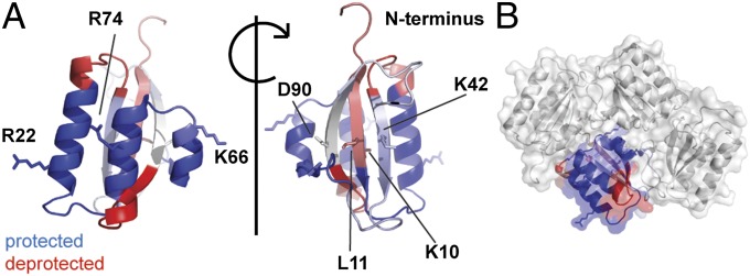 Fig. 3.