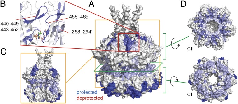 Fig. 4.