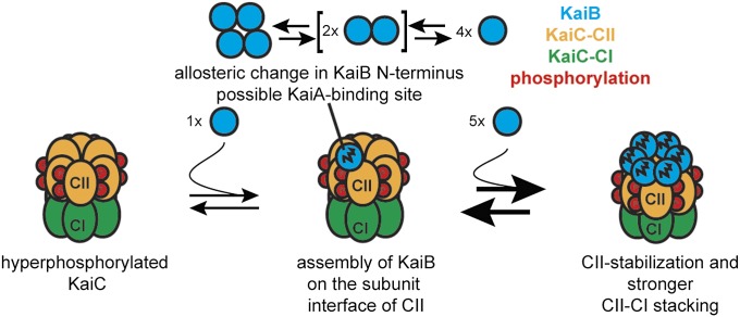 Fig. 6.