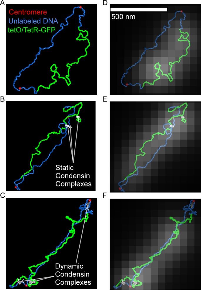 FIGURE 5: