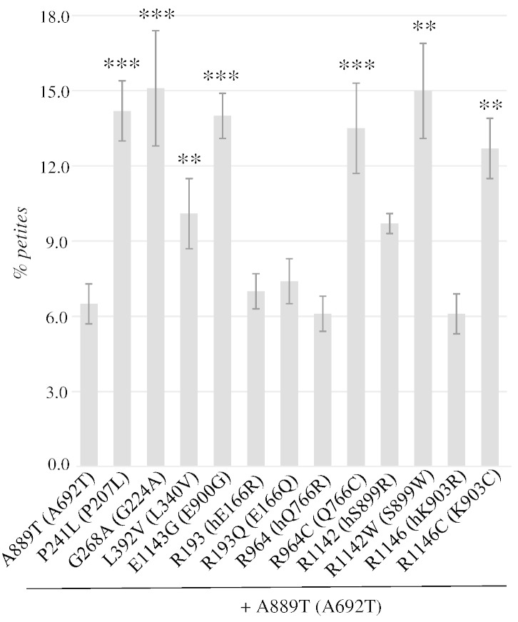 Fig. 3