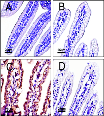 FIG. 5.