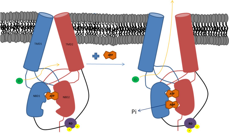 Fig. 1