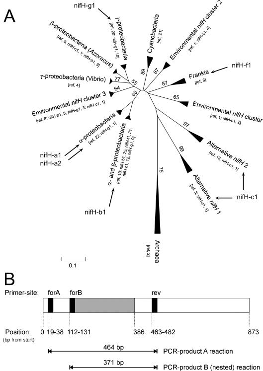 FIG. 1.